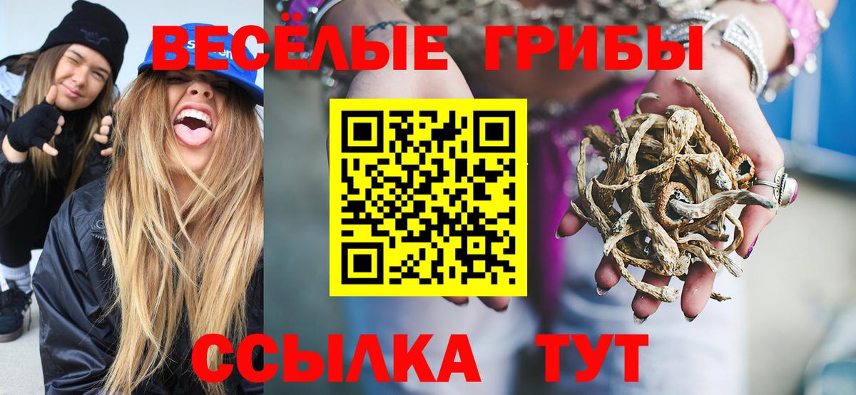Псилоцибиновые грибы GOLDEN TEACHER  Галлюциногенные грибы Magic Shrooms  где купить наркоту  Вход с VPN  Удомля 