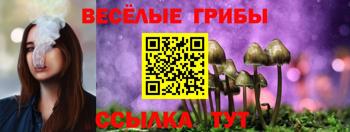 Галлюциногенные грибы Psilocybe Удомля